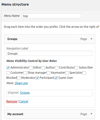 menu visibility in appearance menus panel